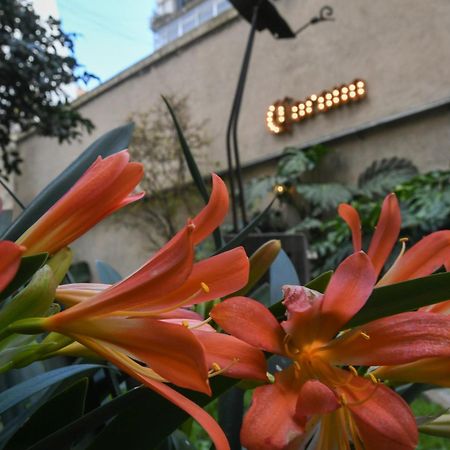 Casa Franca Recoleta Hostel Boutique Buenos Aires Dış mekan fotoğraf