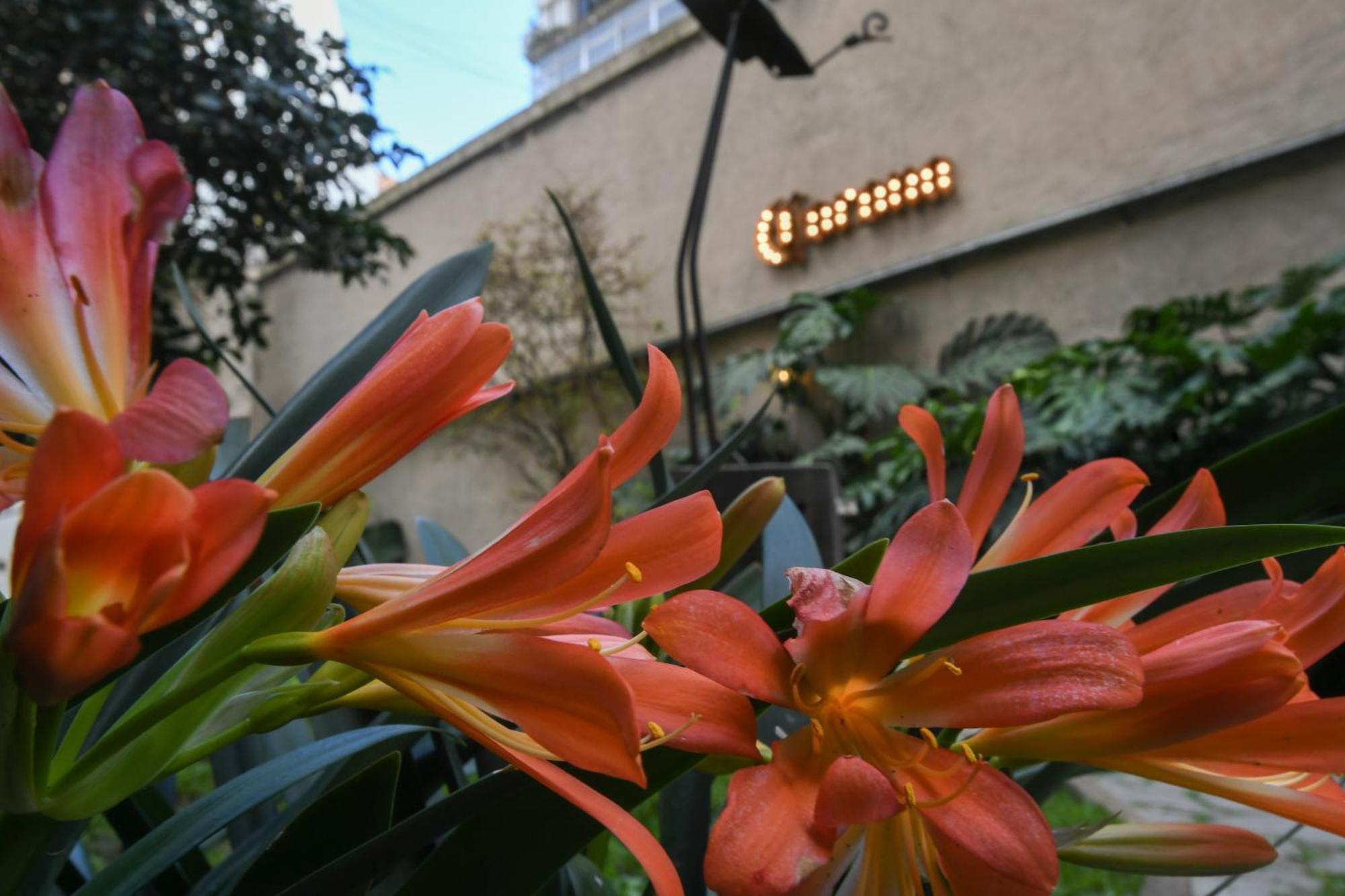 Casa Franca Recoleta Hostel Boutique Buenos Aires Dış mekan fotoğraf